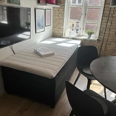 Aalborgs Lille Hyggelige New Yorker 公寓 奥尔堡