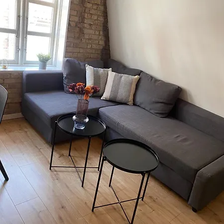 Aalborgs Lille Hyggelige New Yorker 公寓 *